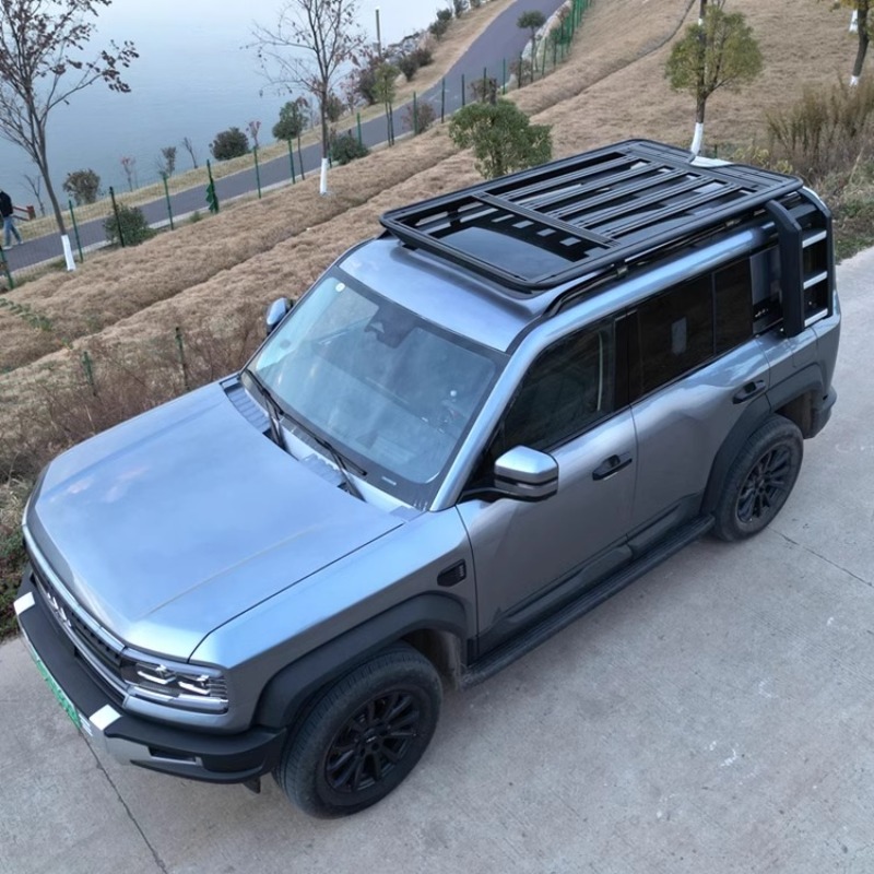 BYD 레오파드 5 오버랜드용 무타공 루프랙 카고 플랫 - Overland Roof Rack Platform 리뷰 및 가격
