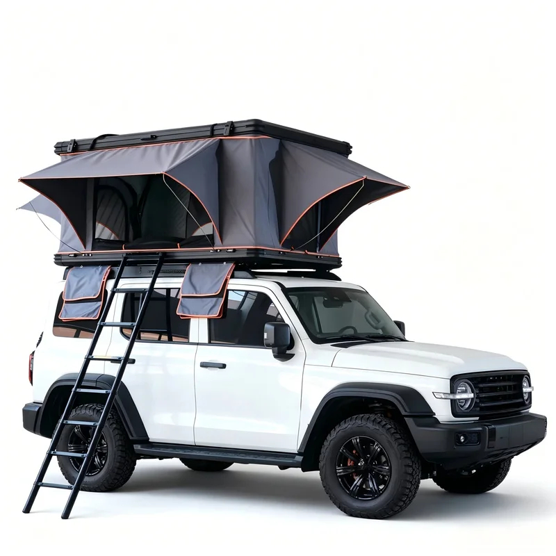 인기 판매 2인용 4계절용 팝업 하드쉘 루프탑 텐트(픽 - Roof Top Tent Hard Shell 2 Person 리뷰 및 가격