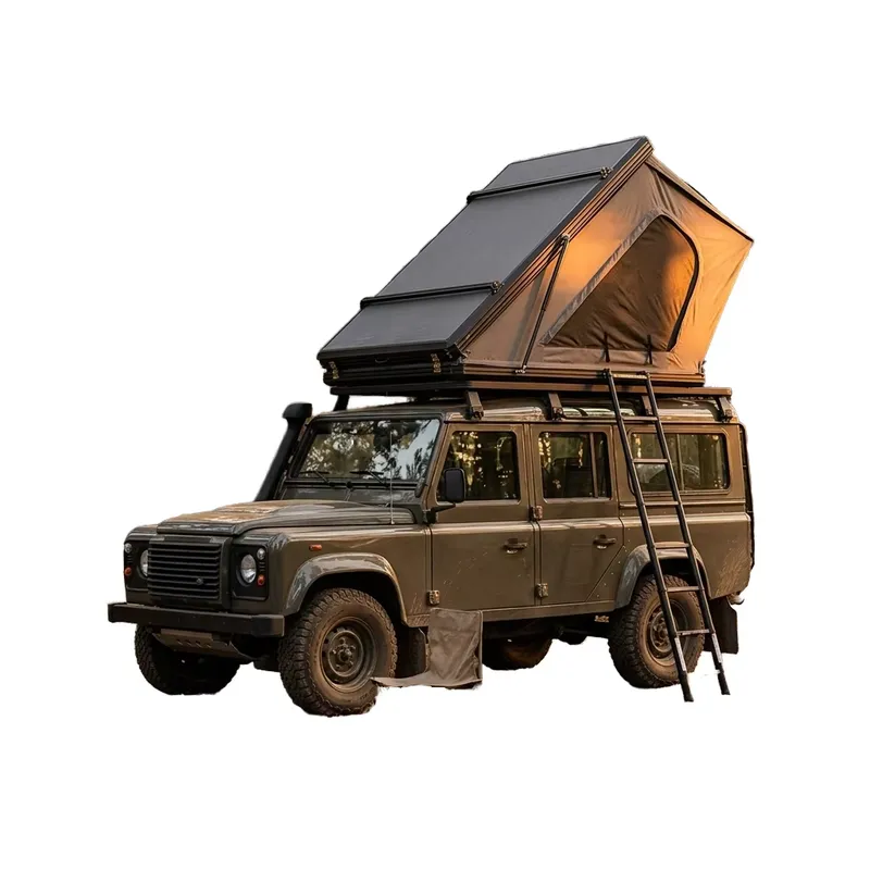 4인용 XL 사이즈 확장형 측면 접이식 하드쉘 루프탑  - Roof Top Tent 4 Person Xl 리뷰 및 가격
